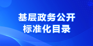 基層政務公開標準化目錄